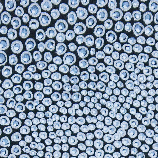 500mg (detail)
