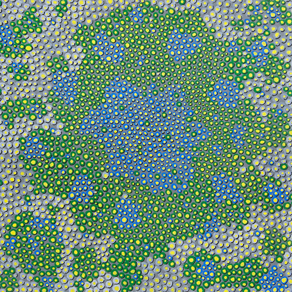 alga