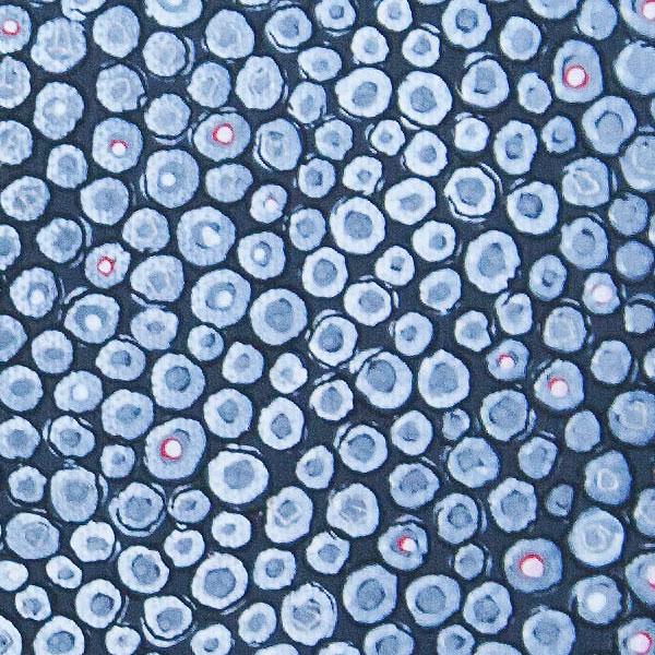elferingewort (detail)