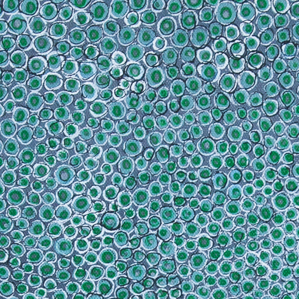 green dragon (detail)