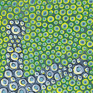 six-lobed